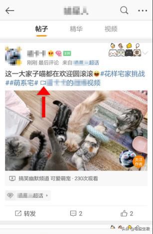 微博超話里的視頻怎么保存到手機里？