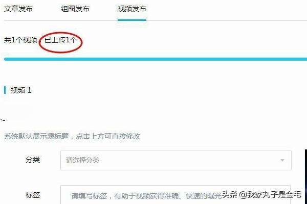 大魚號怎么上傳視頻，怎么發(fā)視頻？
