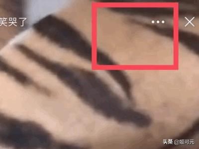 如何下載新浪微博里的視頻？