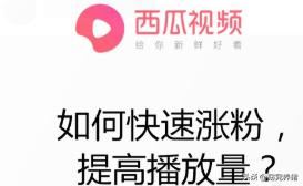 西瓜視頻如何快速漲粉，提高播放量？