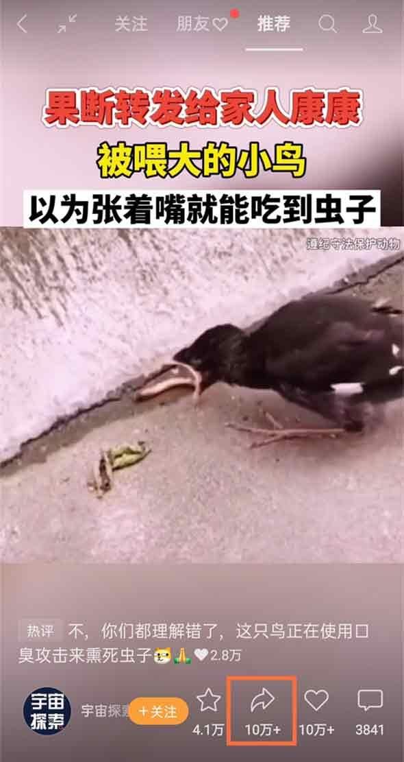 怎樣把視頻轉(zhuǎn)發(fā)給朋友？
