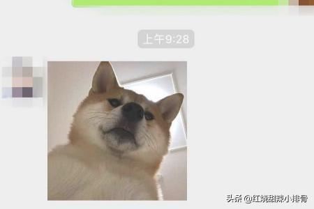 如何在微信對(duì)話中找到以前發(fā)過(guò)的照片、視頻？
