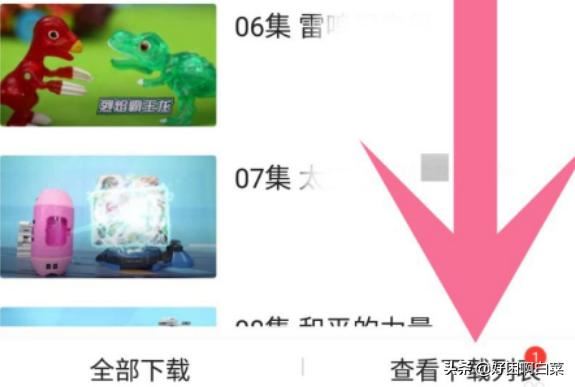 如何把愛奇藝的視頻下載到本地？