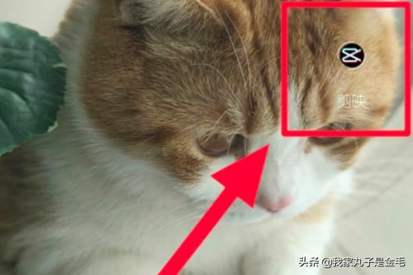 剪映怎么搜索視頻？