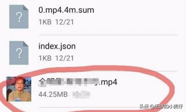 如何把bilibili手機(jī)客戶端下載的視頻拷到優(yōu)盤？