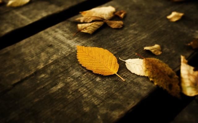頭條極速版刷視頻時(shí)跳出來(lái)的200金幣建議領(lǐng)嗎？
