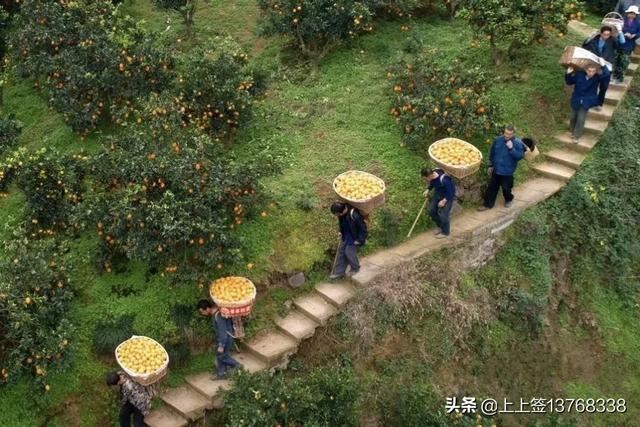 拼多多無(wú)貨源怎么發(fā)貨？無(wú)貨源一件代發(fā)怎么做？