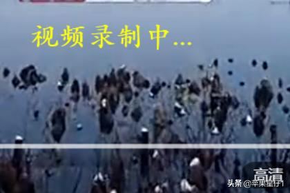 如何保存電腦中的視頻緩存文件？