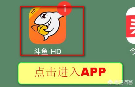 斗魚(yú)怎么看以前的直播？