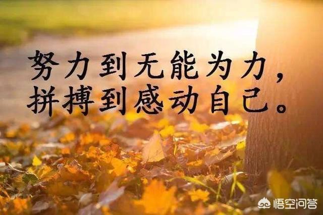 我的抖音被好友拉黑了可以看到好友動態(tài)嗎？
