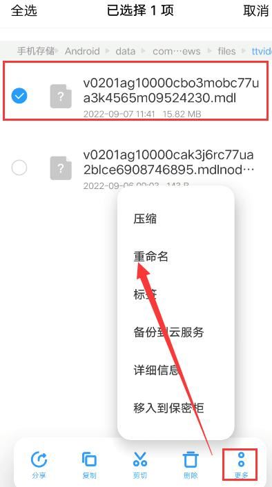 頭條視頻如何轉換成mp4？