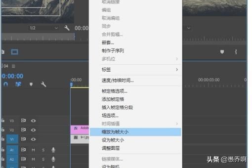 2022年、視頻導(dǎo)入Pr后，怎么鋪滿整個畫布？